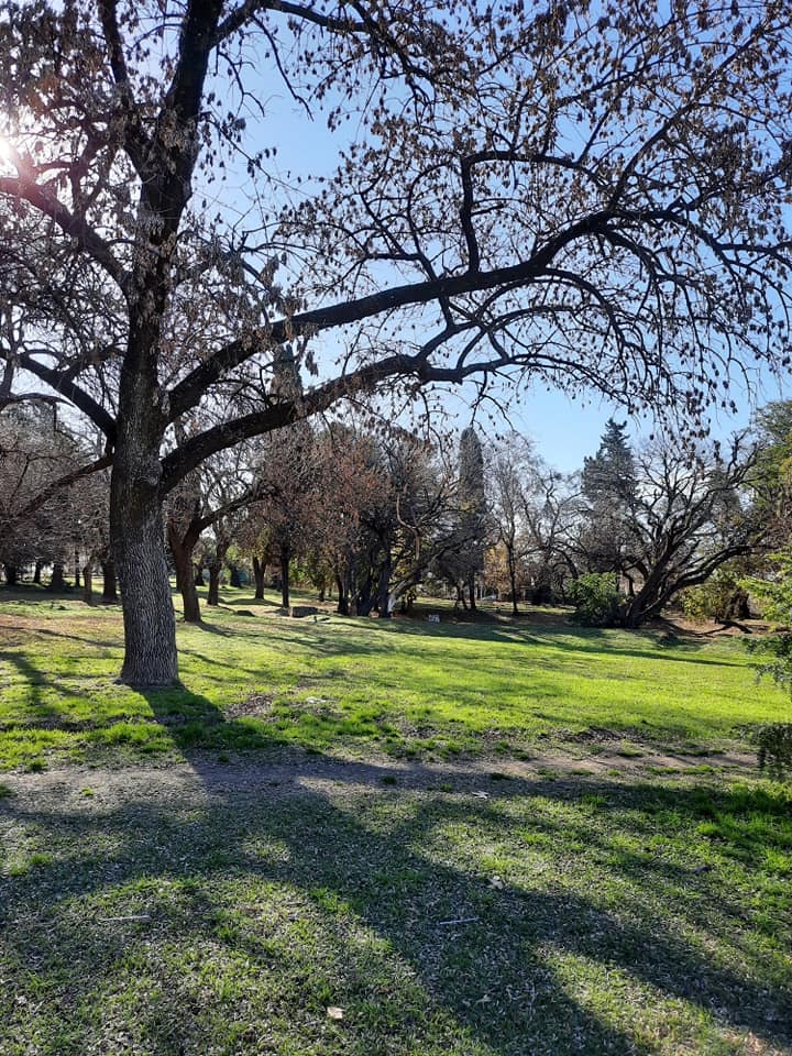 MIRÁ EL PRONÓSTICO DEL TIEMPO PARA ESTOS DÍAS EN ALTA GRACIA