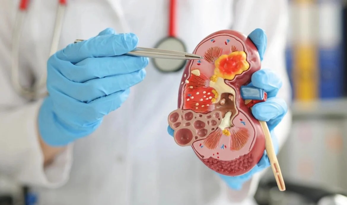 Alta Gracia se consolida como referente nacional en nefrología con la 2° Jornada de Calidad en Diálisis