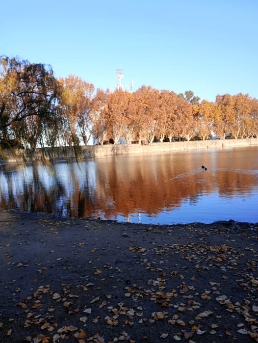 Actividades culturales y recreativas en Alta Gracia