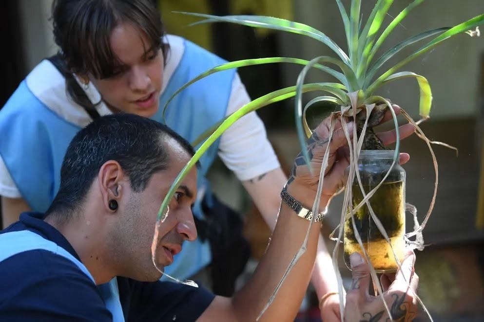 Alta Gracia profundiza su política sanitaria con la ampliación del Programa Integral de Zoonosis y Enfermedades Vectoriales